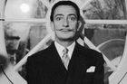 Dalího grafiky přicestovaly k česko-německé hranici