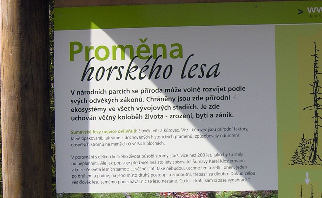 Šumavské lesy