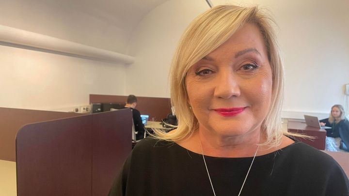 Ústavní soud není posvátná kráva, řekla naštvaná Schillerová a z rozhovoru odešla