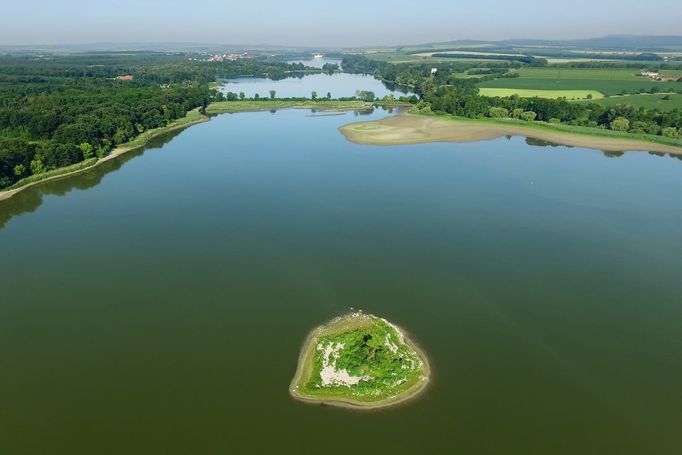 Ostrůvek na Mlýnském rybníku (Apollu) je hnízdištěm racka bělohavého. Snímek z roku 2018.