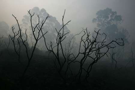 Požáry porostu ve Španělsku již ohrožují města