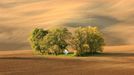 Podzim u kapličky - podzimní krása zvlněných moravských polí v okolí Kyjova. Foto: Marek Ujčík