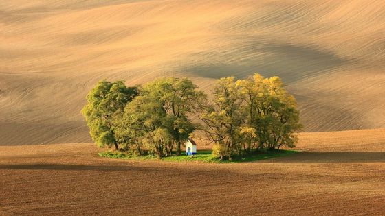 Kdo vyhrál fotosoutěž Můj podzim 2014? Podívejte se