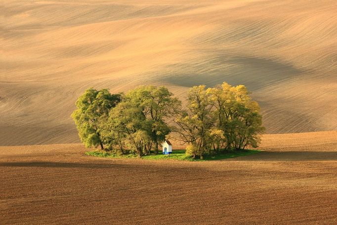 Podzim u kapličky - podzimní krása zvlněných moravských polí v okolí Kyjova. Foto: Marek Ujčík