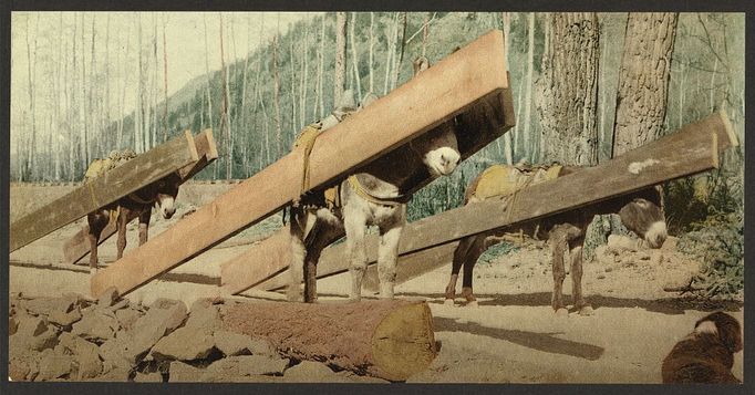 Historické fotky, fotochrom. Colorado krátce po odeznění zlaté horečky 1890-1905.