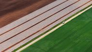 Pole v Polabí na leteckém snímku, který jsme pořídili s pilotem Jiřím Prušou. Geometrické a abstraktní kompozice mám moc rád a fotografování z letadla k nim přímo vybízí.