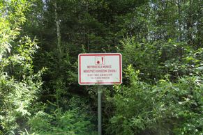 60 let poté. Šumava vzpomíná na oběti komunismu i na "péesáky"
