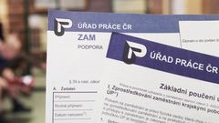 Úřad práce - žádost