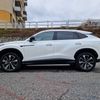MG HS test