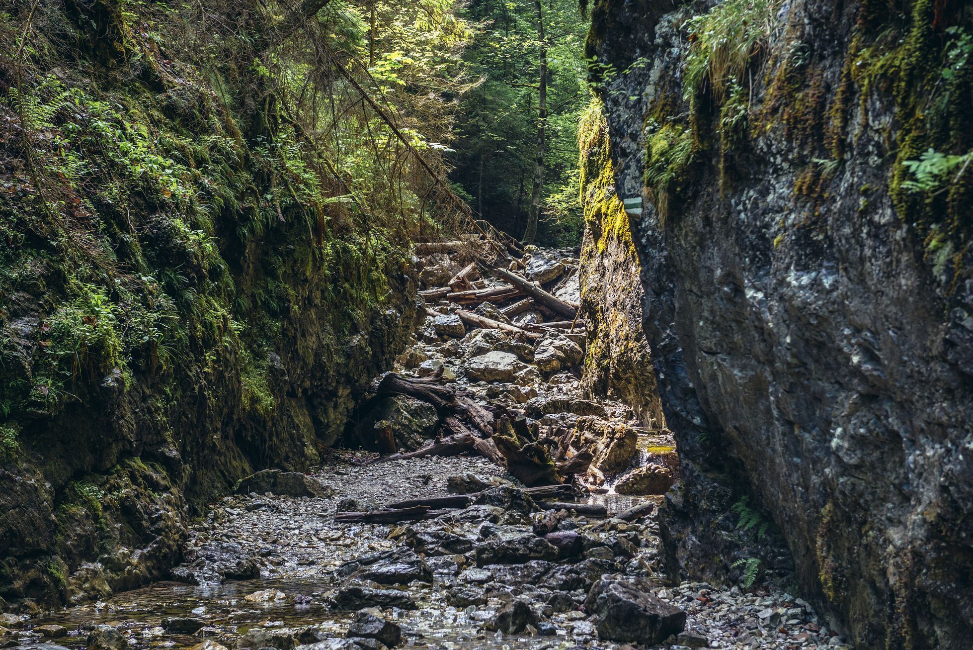 Národní park Slovenský kras