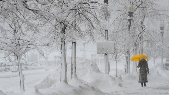 Foto: Tolik sněhu, že nemohli projet ani silničáři. New York se zbarvil do bíla