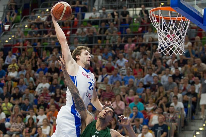 Jan Veselý, Česko - Mexiko. Příprava českých basketbalistů 30.6.2016