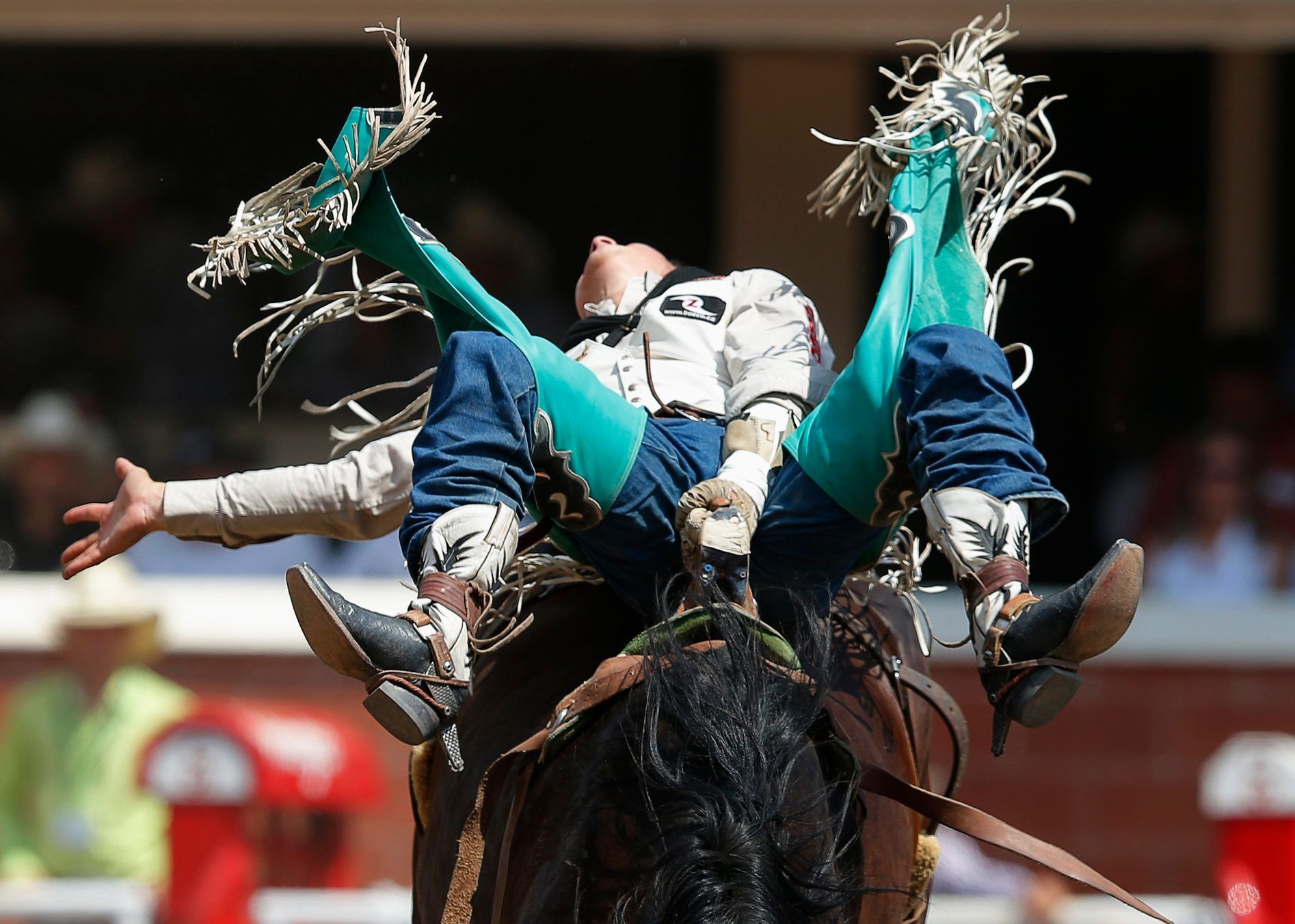 Rodeo v Calgary