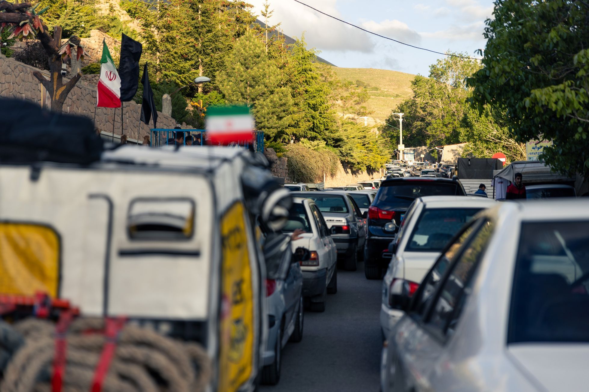 žlutá žába irán O7