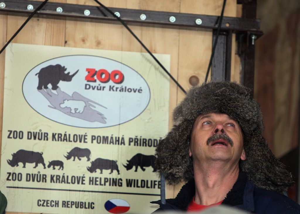 Nosorožci do Keni