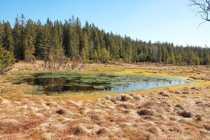 Šumava