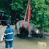 Zoo praha povodně 2002