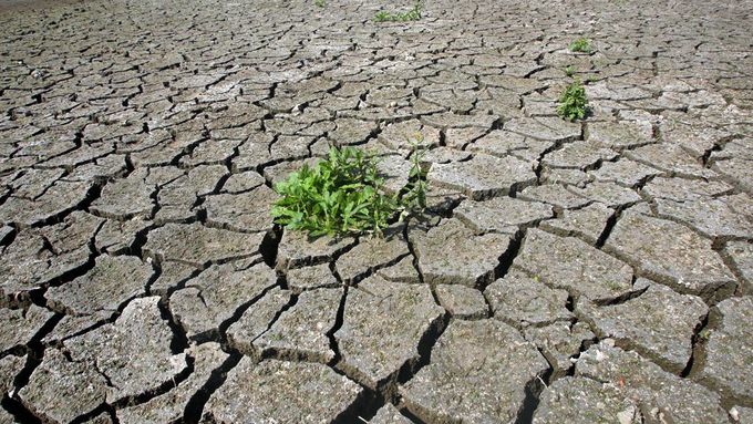 Jižní Africe hrozí největší sucho v dějinách. Ilustrační foto.