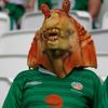 Euro 2016: irský fanoušek