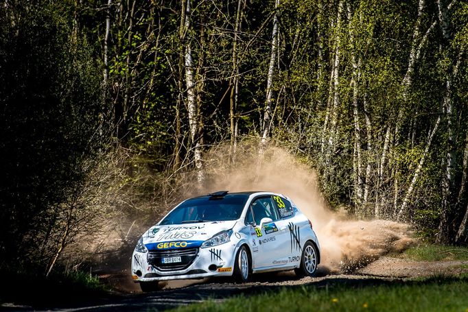 Rallye Šumava Klatovy 2021, Peugeot Rallye Cup: Dominik Brož, Peugeot 208 R2