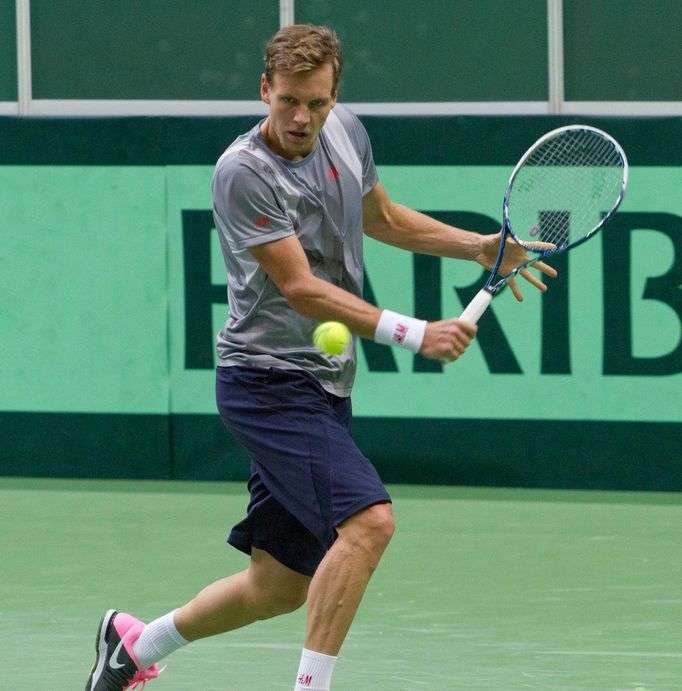 Davis Cup, Tomáš Berdych