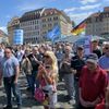 Německo AfD 7