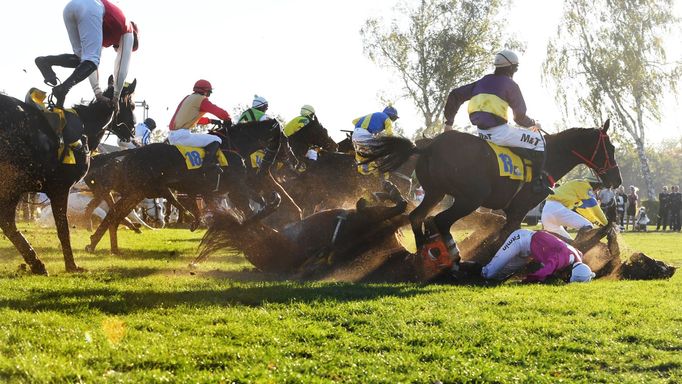 Velká pardubická 2018, Velký Taxis, Josef Bartoš, Vicody