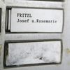 Josef Fritzl, Kauza Amstetten, únos, znásilnění, incest, Rakousko, Zahraničí