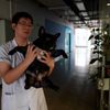 Alternativní medicína pro kočky i psy. Veterinární akupunktura se stává trendem