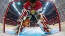 Gólman Ottawy Senators Ray Emery se spoustředí před začátkem třetího finále Stanley Cupu proti Anaheimu.