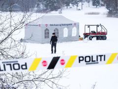 Před rokem policie pátrala také v jezírku u domu Hagenových.