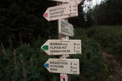 Jihočeští radní chtějí kácet na Šumavě kvůli lanovce
