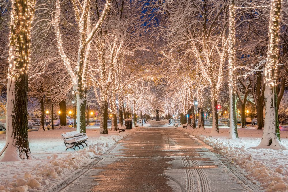 Vánoce osvětlení výzdoba stromy Boston