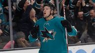 Tomáš Hertl se dohodl na nové smlouvě se San Jose, kde působí od začátku své kariéry v zámoří. Trvat bude osm let a zajistí mu celkový příjem 65,1 milionu dolarů (přes 1,45 miliardy korun). V průměru bude od příštího ročníku mít plat přes osm milionů dolarů (cirka 179 milionů korun).