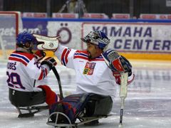 Čeští sledge hokejisté