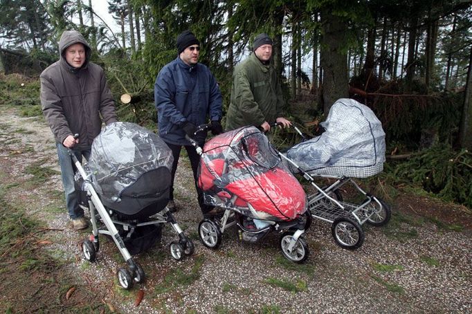 Správa národního parku důrazně varuje, že lesy mohou být stále nebezpečné, že mohou padat další poškozené stromy.