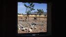 Cows graze in a compound hit by French air strikes Douentza January 29 2013. The compound was used by radical Islamist group MUJAO and was hit by French air strikes over a week ago. REUTERS/Joe Penney (MALI - Tags: CIVIL UNREST POLITICS CONFLICT TPX IMAGES OF THE DAY ANIMALS) Published: Led. 29, 2013, 2:07 odp.