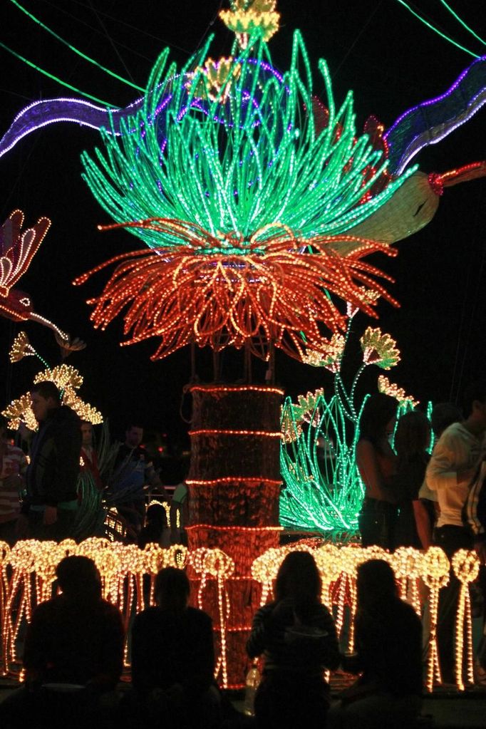 People are silhouetted against Christmas decorations lighted up along the Medellin river December 2, 2012. REUTERS / Albeiro Lopera (COLOMBIA - Tags: SOCIETY ANNIVERSARY) Published: Pro. 3, 2012, 3:38 dop.