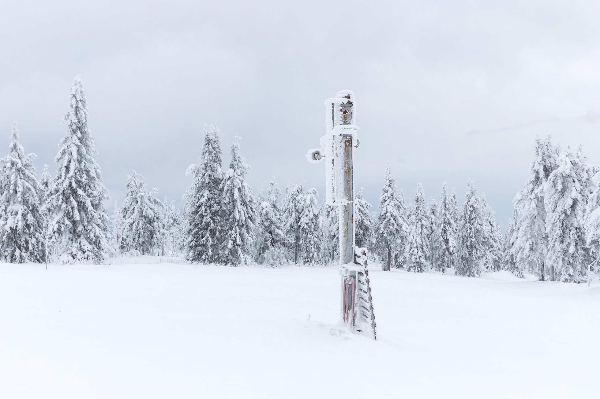 Recenze: Canon 6D Mark II - ukázkové snímky