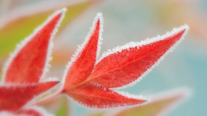 Na Kvildě ráno naměřili minus 4,8 stupně Celsia, nejméně v republice; Zdroj foto: Thinkstock