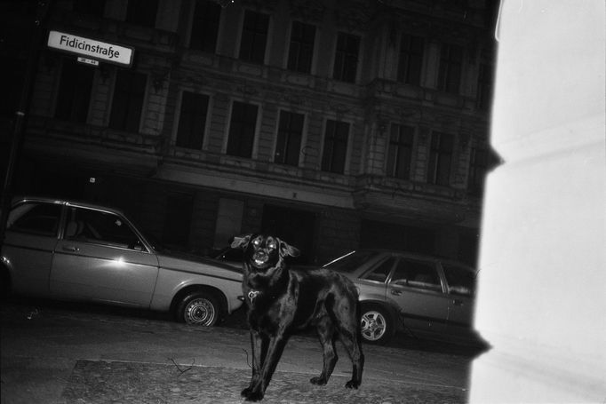 Fotografie Libuše Jarcovjákové z dokumentu Ještě nejsem, kým chci být.