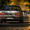 Peugeot 309