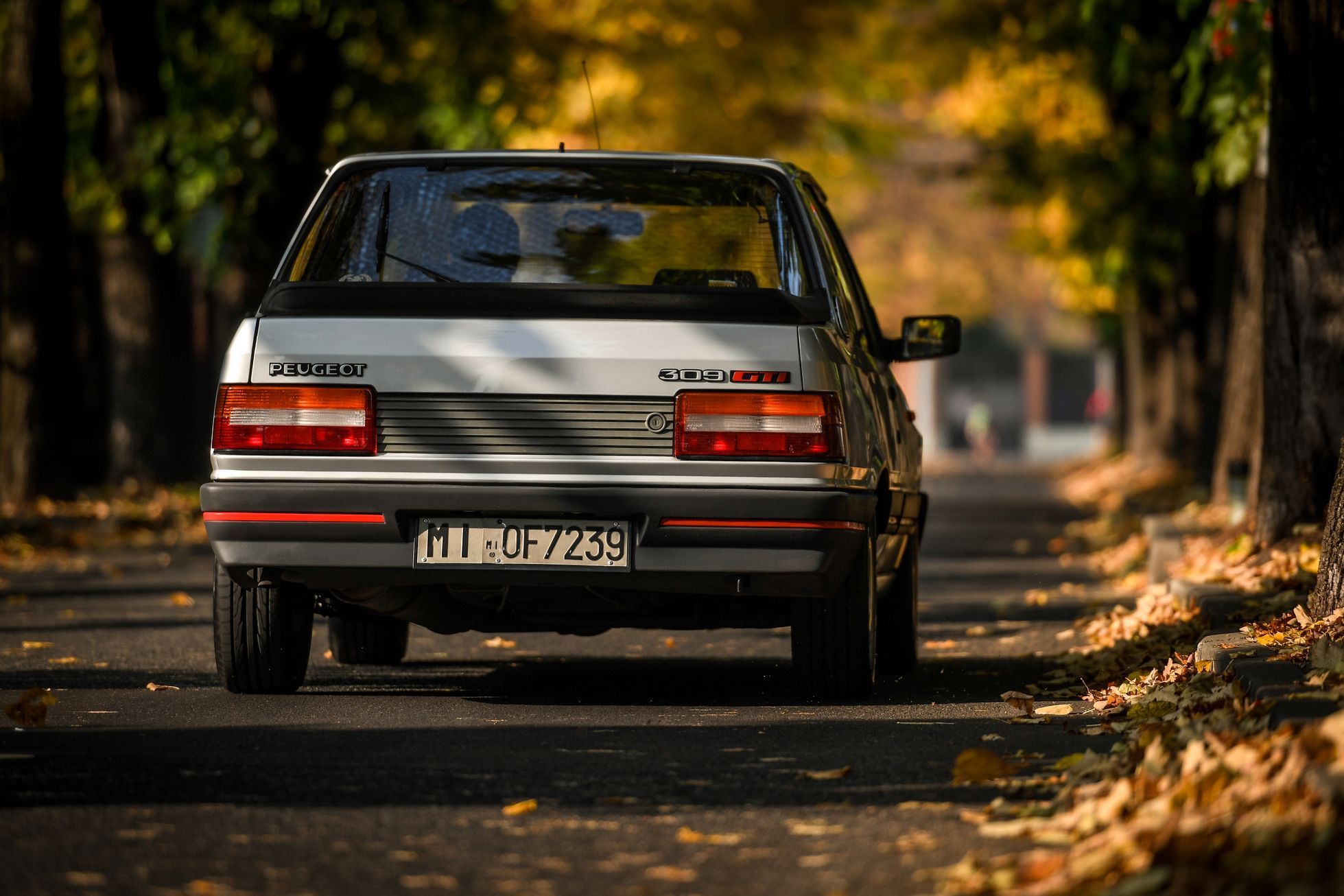 Peugeot 309