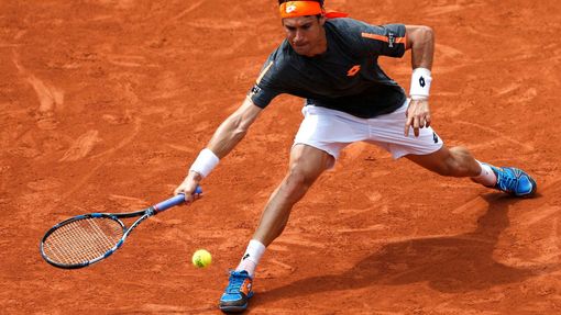 David Ferrer ve 3. kole French Open.