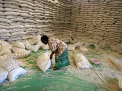 Rebelové vyplenili již několik skladů potravin. Žena si odnáší pytel rýže z hlídaného skladu Světového potravinového programu (WFP) v Dili.