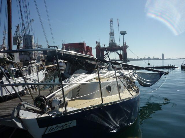 Velryba zničila jachtu