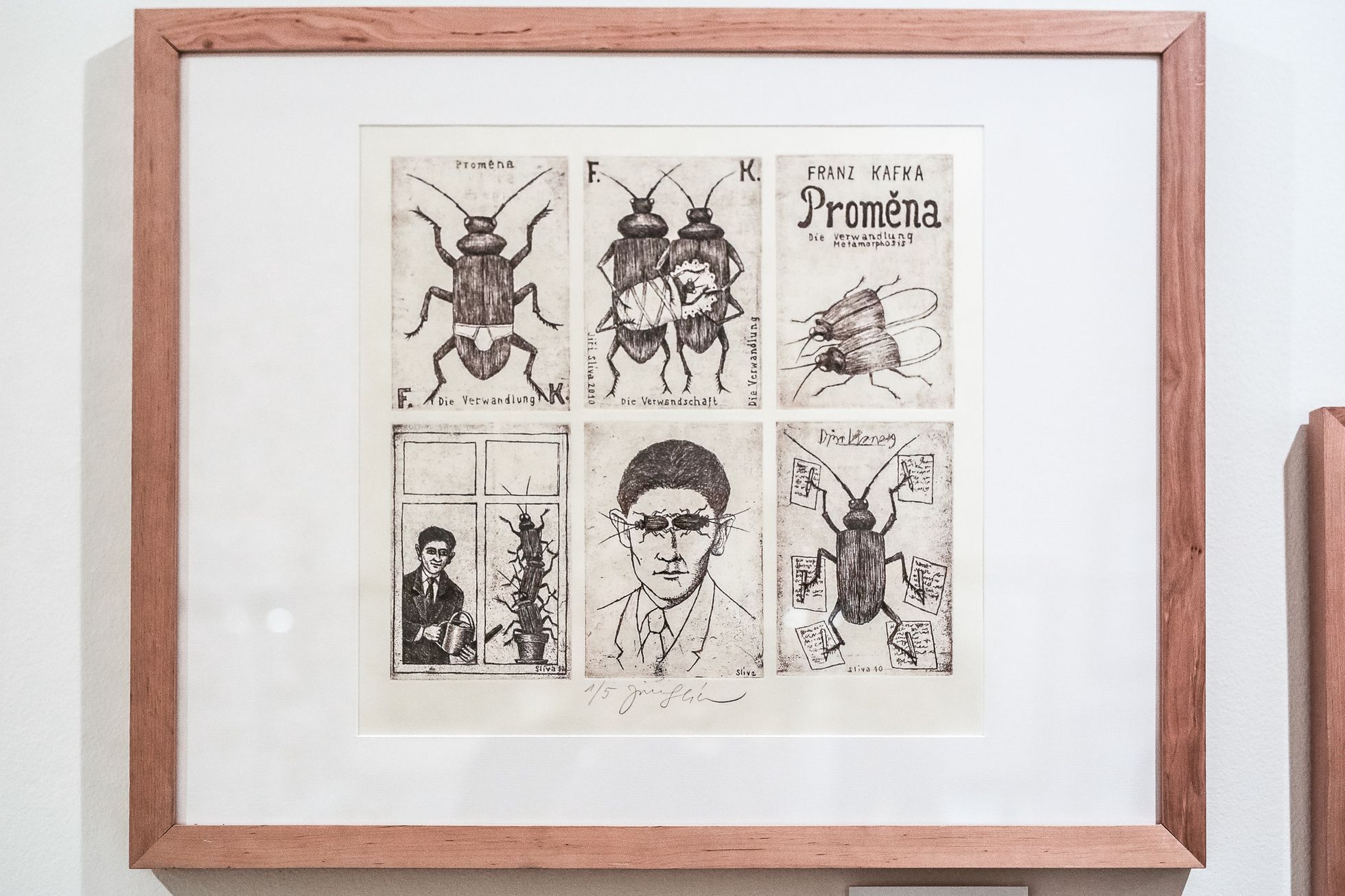 Jiří Slíva: Výstava Můj šálek Kafky