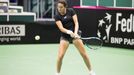 Fed Cup 2017: Česko - Španělsko