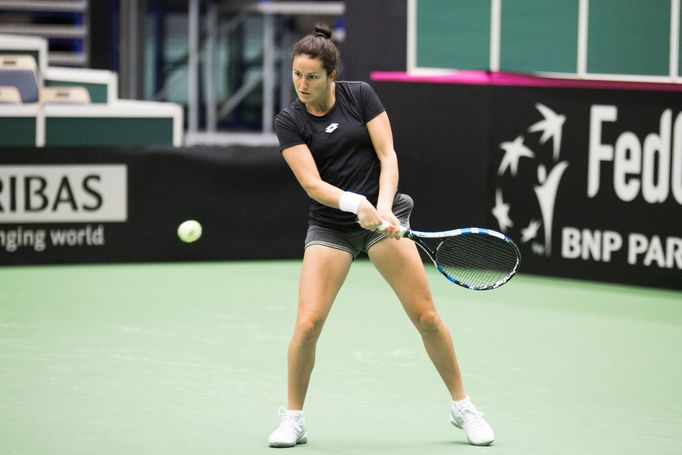 Fed Cup 2017: Česko - Španělsko