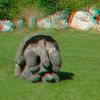 ZOO 3D